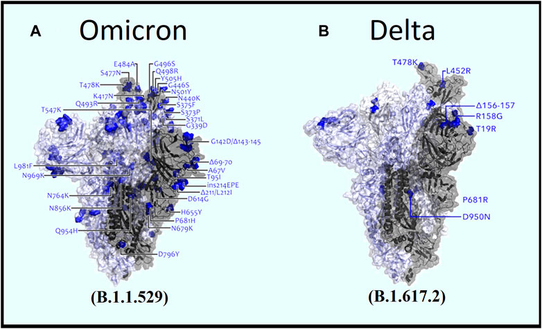Delta vs Omicron